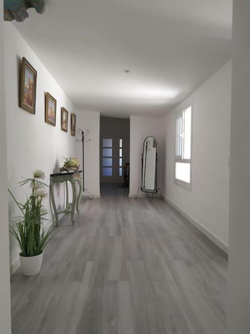 Espectacular Piso En La Misma Plaza Del Mentidero. Apartment กาดิซ ภายนอก รูปภาพ